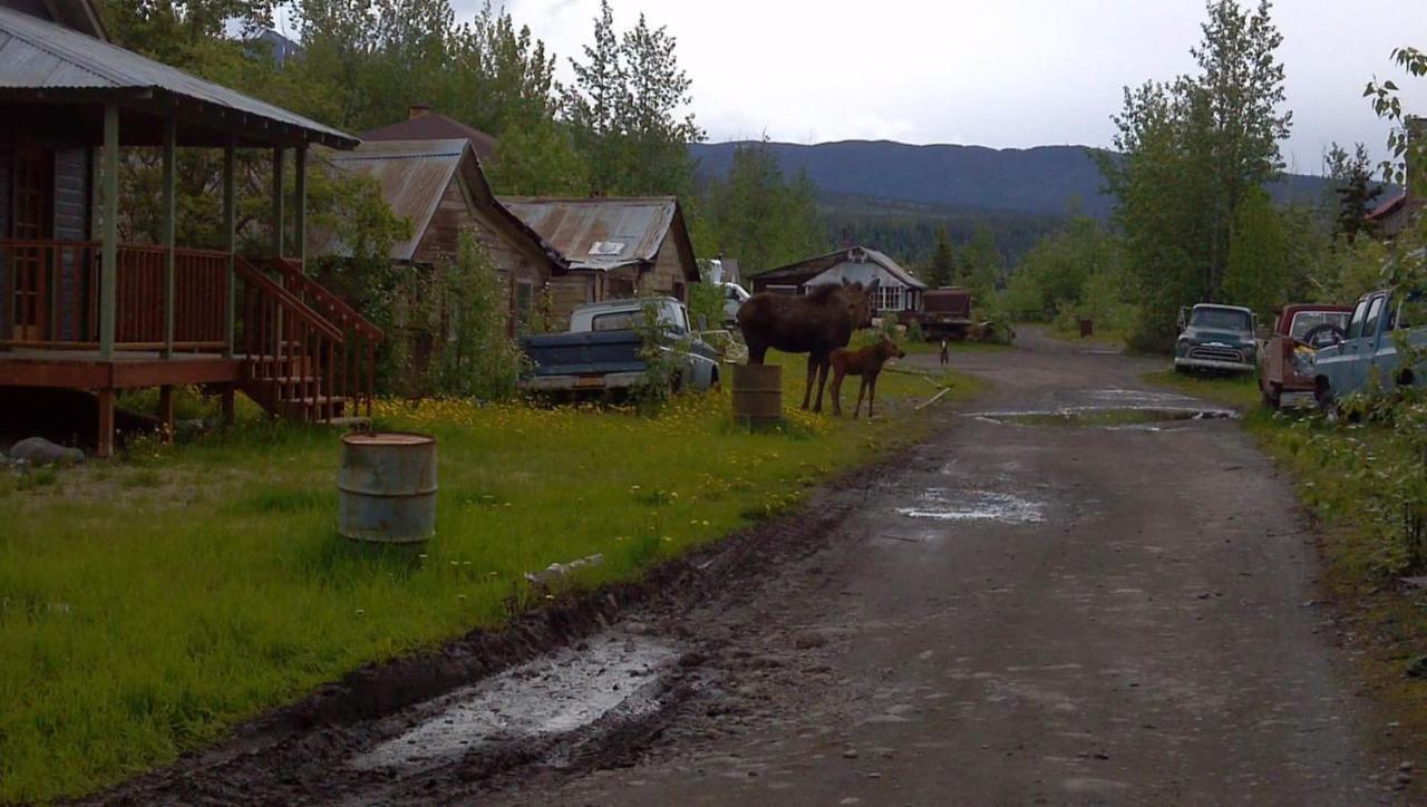 Blackburn Cabins - Mccarthy, Alaska Exterior foto